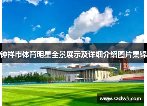 钟祥市体育明星全景展示及详细介绍图片集锦